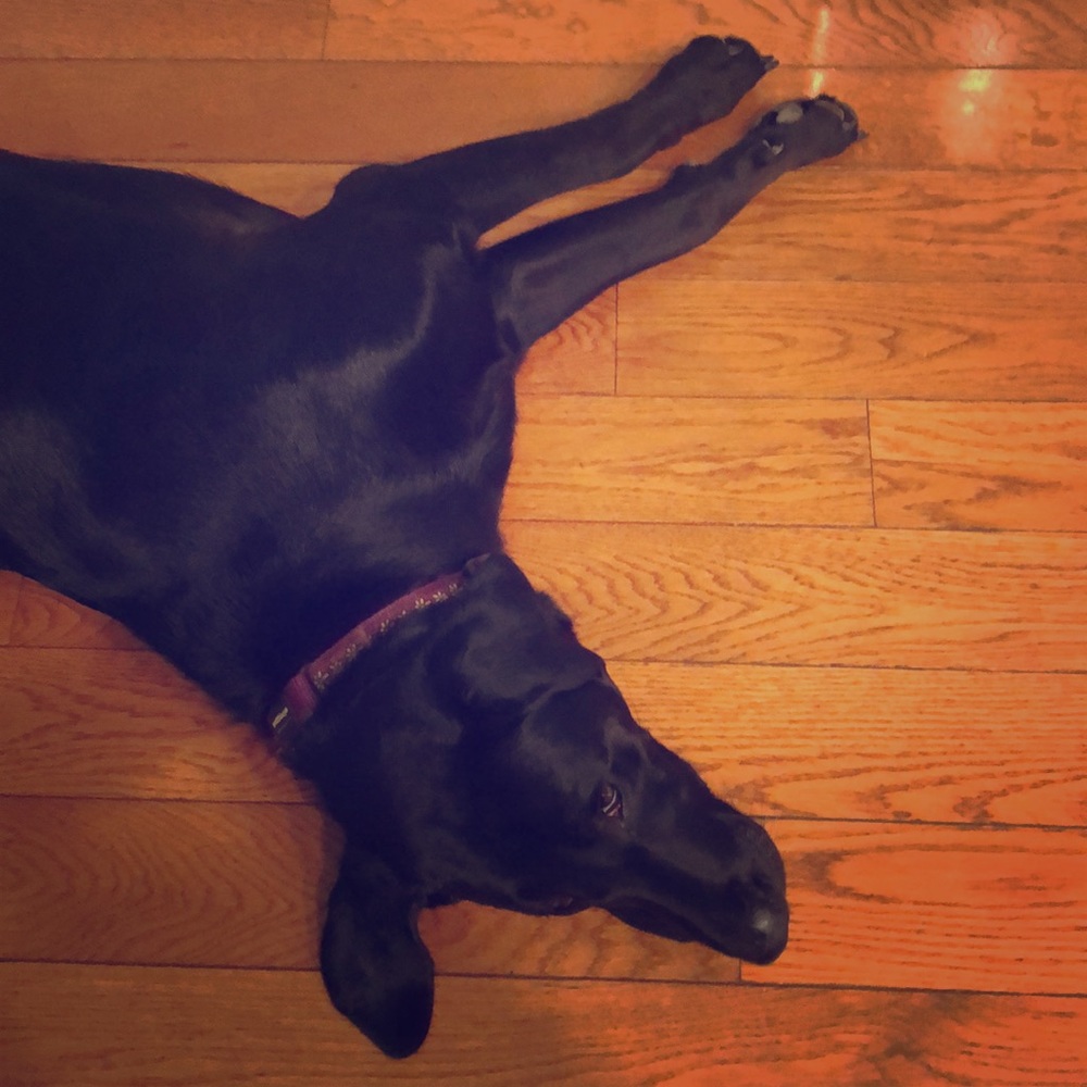 It’s the Dog Days of summer closet clear out!